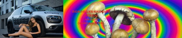мескалин Алексин
