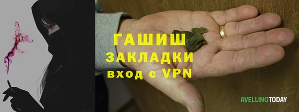 прущие грибы Алзамай