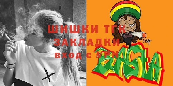 прущие грибы Алзамай