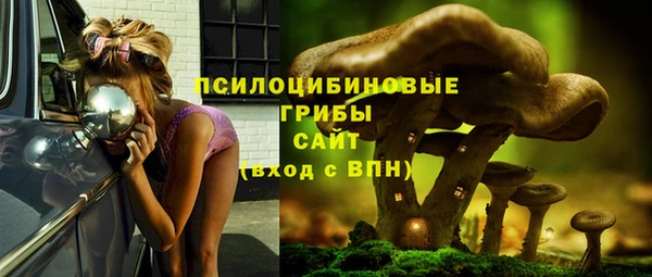 прущие грибы Алзамай