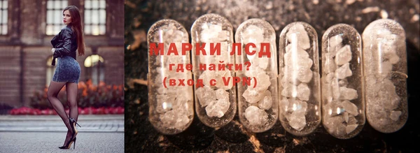 прущие грибы Алзамай