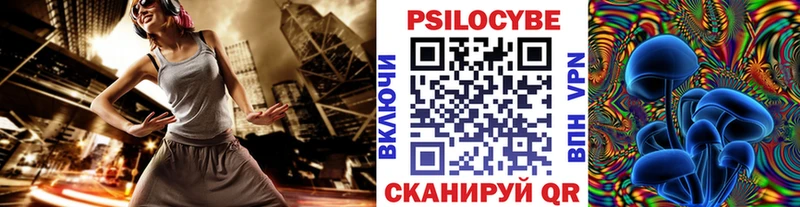 кракен как войти Морозовск Галлюциногенные грибы Cubensis